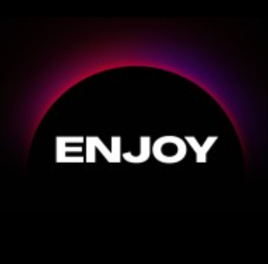 Enjoy Gaming logo